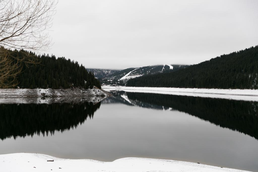Вилла Panorama Apuseni Белиш Экстерьер фото